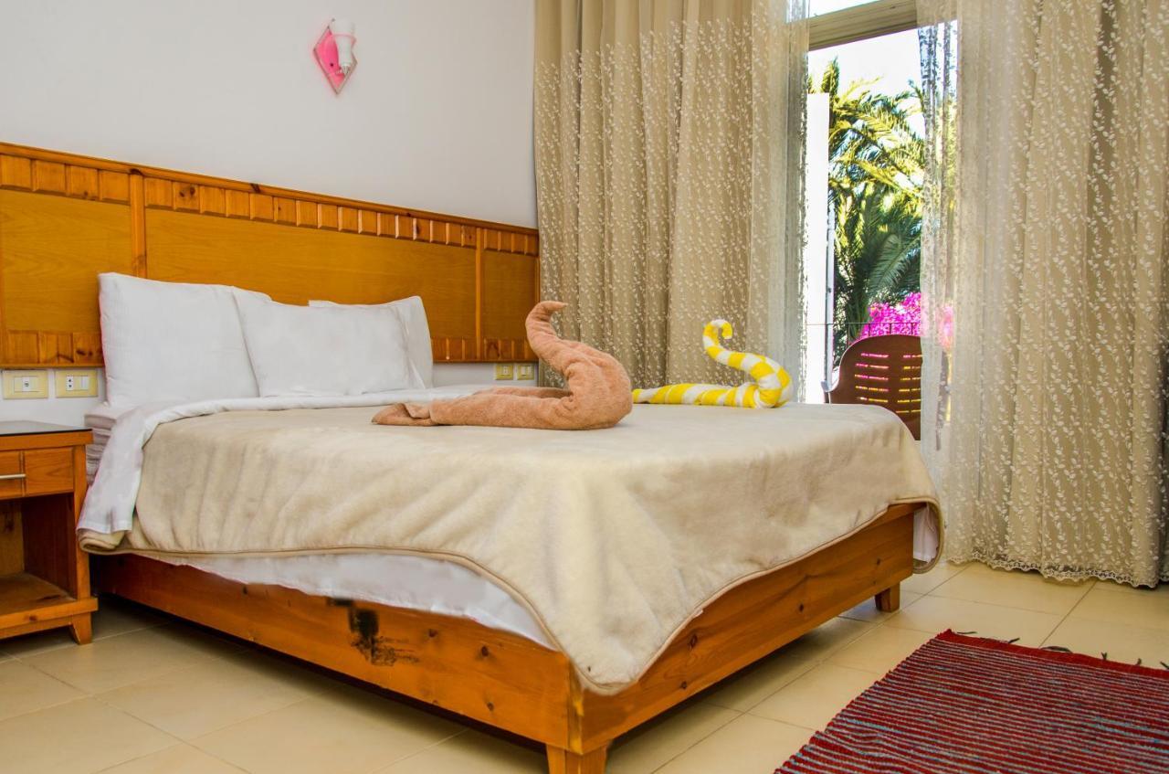 New Yalla Hotel Dahab Exteriér fotografie