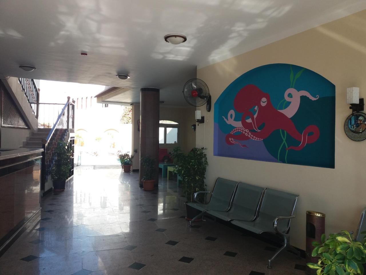 New Yalla Hotel Dahab Exteriér fotografie